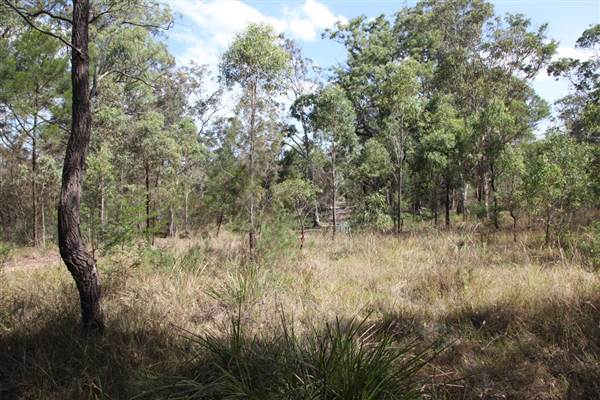 Georges River Nature Reserve (17/07/2013)