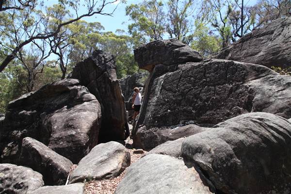 Ted Horwood Reserve (17/07/2013)