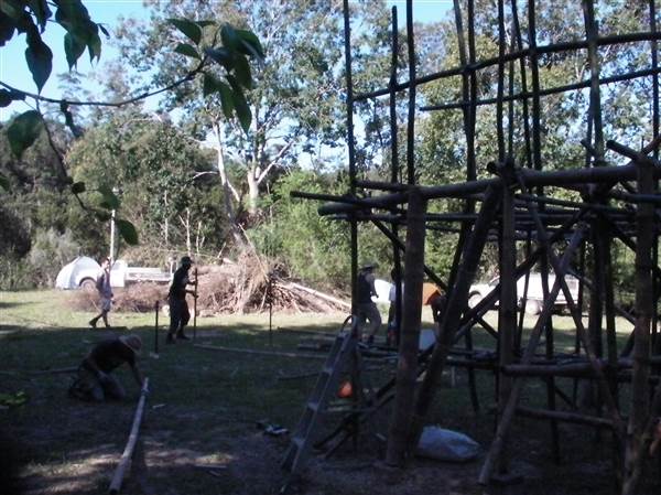 Private Properties - Bamboo, Jungle, Exotic, Forest (26/11/2013)
