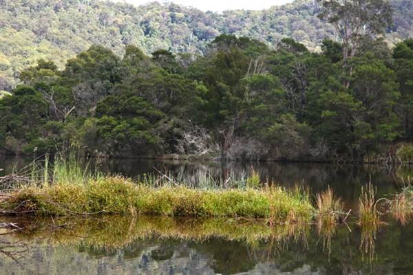 Kangaroo valley (28/11/2013)