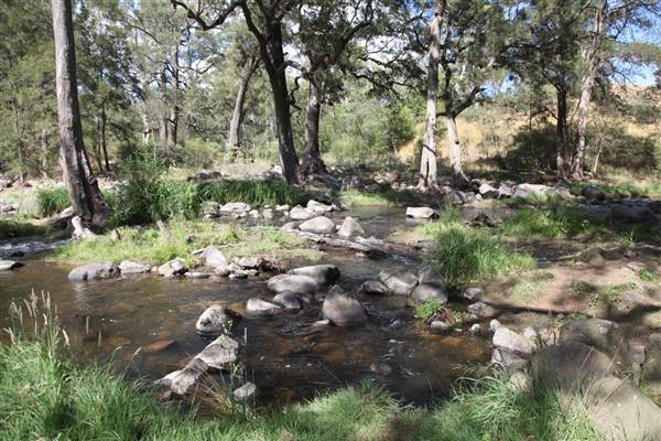Coxs River - Glenroy Cabins and Camp Ground - Canon 5D (13/12/2012 - Credits: Luke Torrevillas)