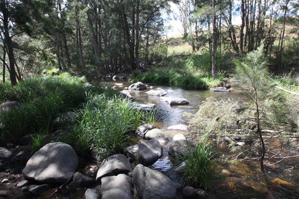 Coxs River - Glenroy Cabins and Camp Ground - Canon 5D (13/12/2012 - Credits: Luke Torrevillas)