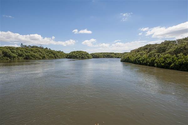 Georges River (5/12/2013)