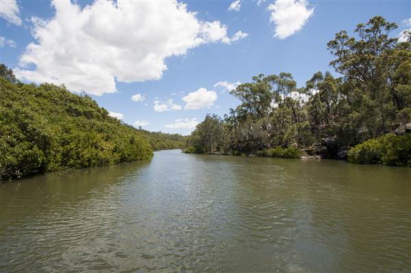 Georges River (5/12/2013)