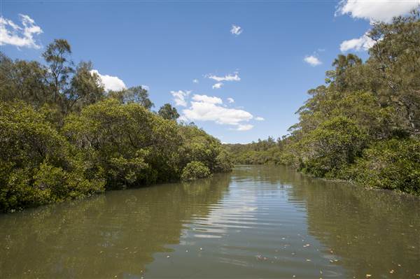 Georges River (5/12/2013)