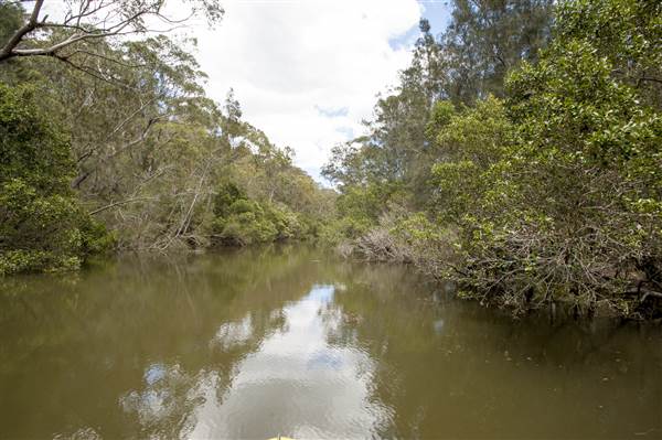 Georges River (5/12/2013)