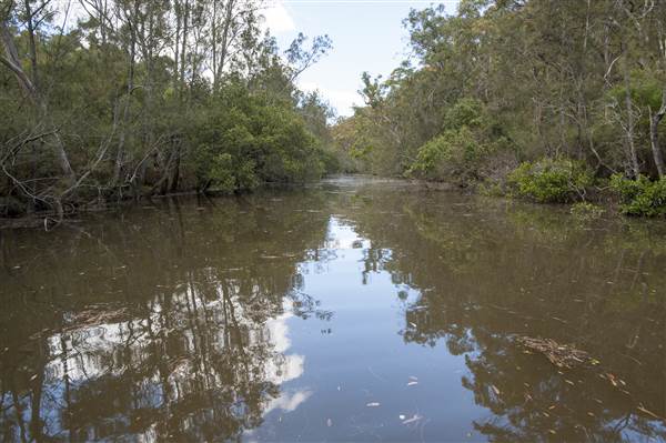 Georges River (5/12/2013)