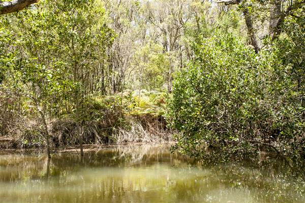Georges River (5/12/2013)