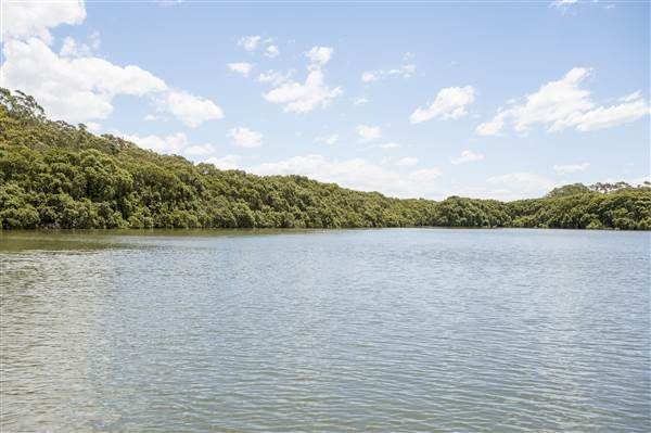 Georges River (5/12/2013)