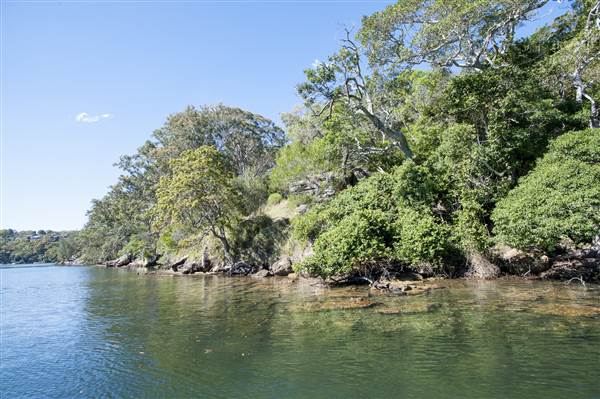 Hacking River (10/12/2013)