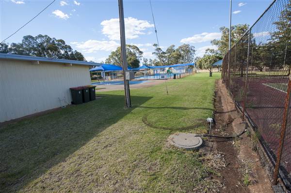 Trundle (25/11/2013)