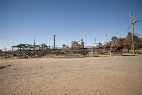 Coonamble (26/11/2013)