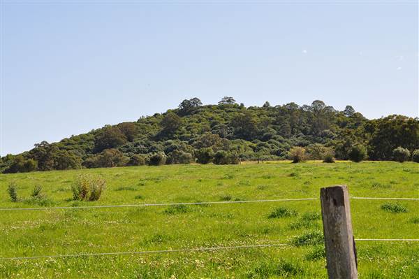 Scenic NSW Equine Centre (25/09/2013 - Credits: Ivy Carrano, Garth Birch)