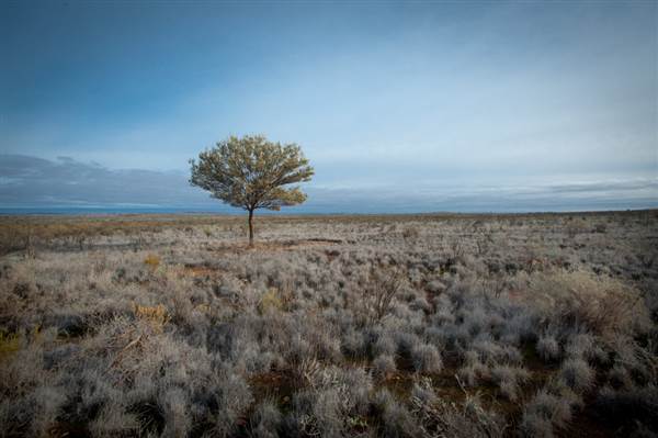 Pinnacles - Broken Hill (6/06/2013 - Credits: Colin McDougall)