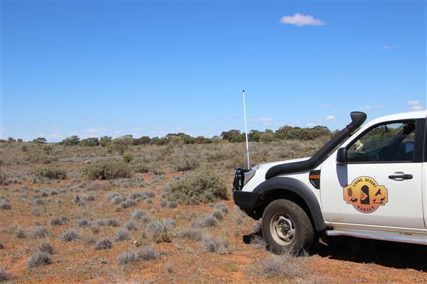Broken Hill Sculptures Site and Living Desert (13/09/2013 - Credits: Lyndall Roberts)