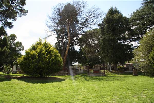 Holy Trinity Church Bathurst (10/03/2014)