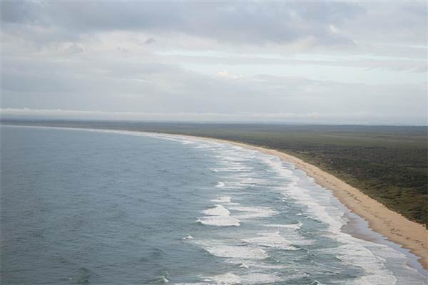 Bundjalung National Park (3/04/2014)