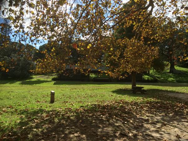 Centennial Park (25/06/2014)