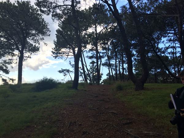 Centennial Park (25/06/2014)