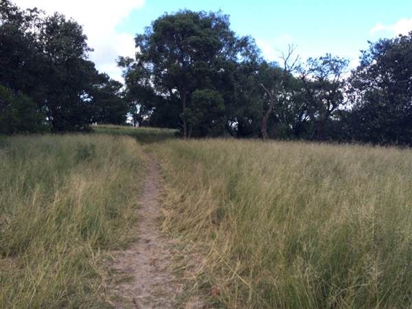 Centennial Park (25/06/2014)