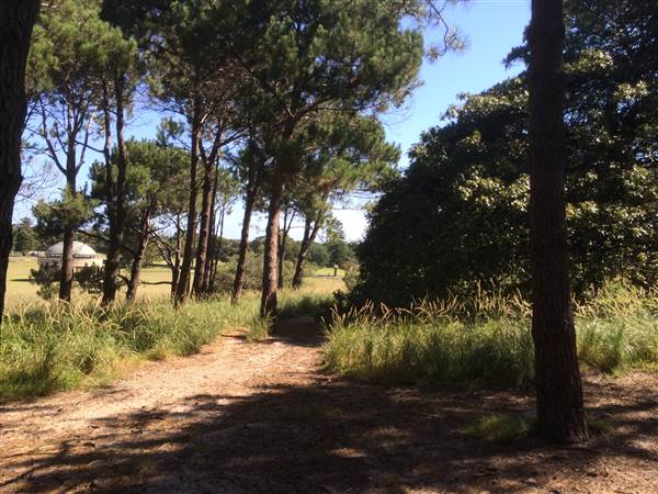 Centennial Park (25/06/2014)