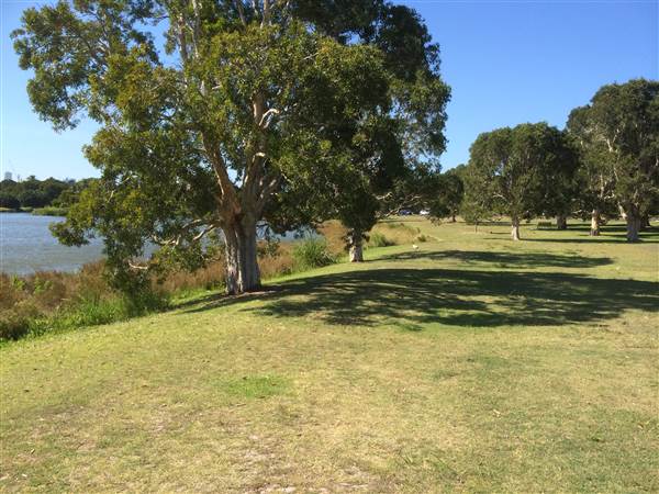 Centennial Park (25/06/2014)