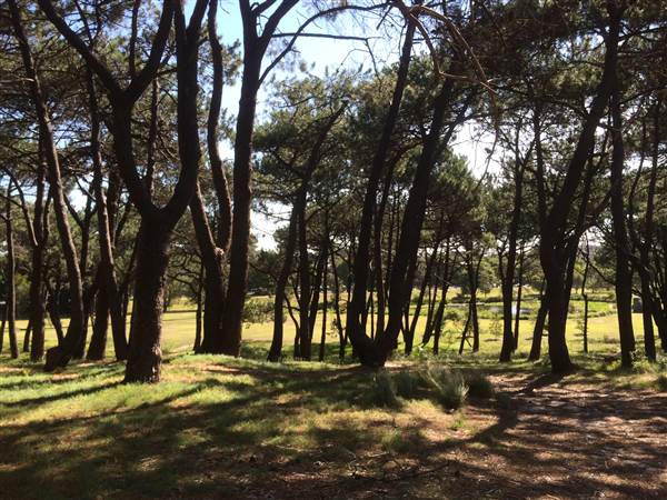Centennial Park (25/06/2014)