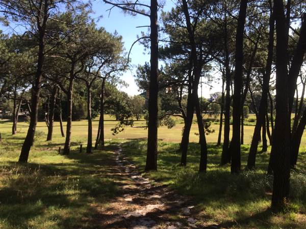Centennial Park (25/06/2014)