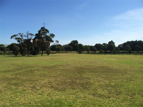 Centennial Park (26/06/2014)