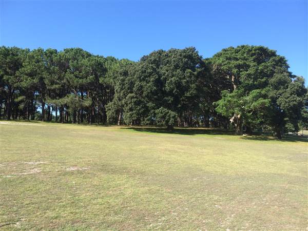 Centennial Park (26/06/2014)