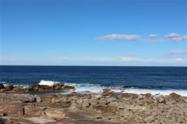 Clovelly Beach (7/07/2014)
