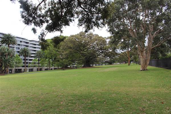 Maiden Theatre - Royal Botanic Garden Sydney (24/10/2014)
