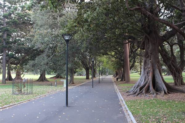 The Domain - Royal Botanic Garden Sydney (24/10/2014)