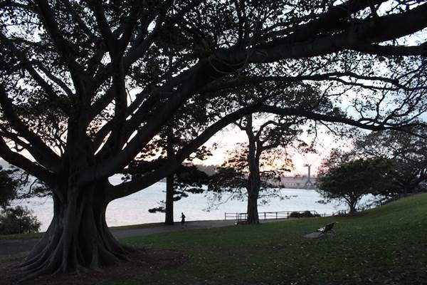 Mrs. Macquarie's Point - Royal Botanic Garden Sydney (24/10/2014)