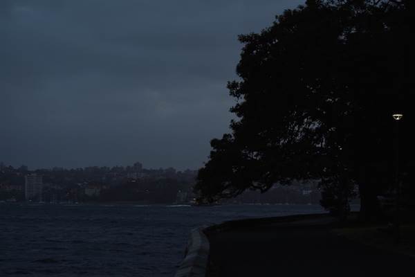 Mrs. Macquarie's Point - Royal Botanic Garden Sydney (24/10/2014)