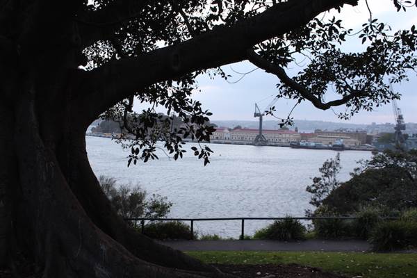 Mrs. Macquarie's Point - Royal Botanic Garden Sydney (24/10/2014)