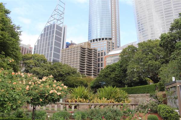 Rose Garden & Pavilion - Royal Botanic Garden Sydney (24/10/2014)