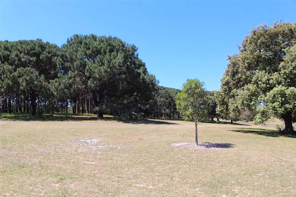 Centennial Park - Brazilian Fields (24/10/2014)