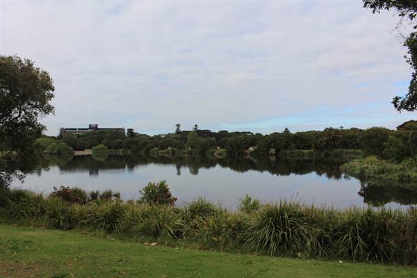 Centennial Park - Church Grounds (24/10/2014)