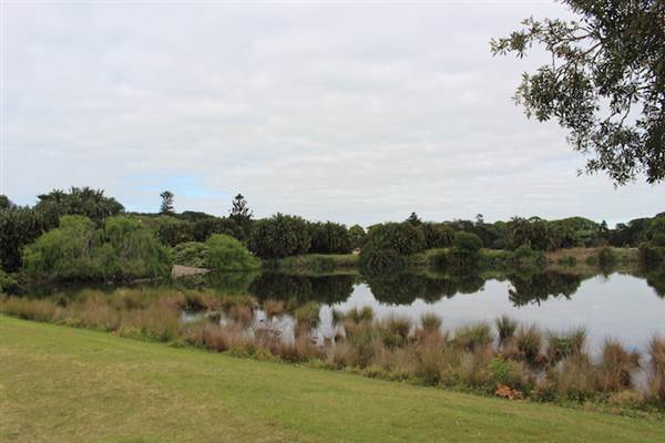 Centennial Park - Church Grounds (24/10/2014)
