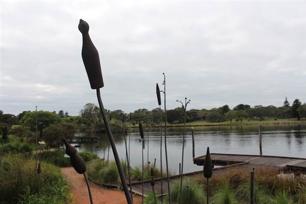 Centennial Park - Duck Pond (24/10/2014)