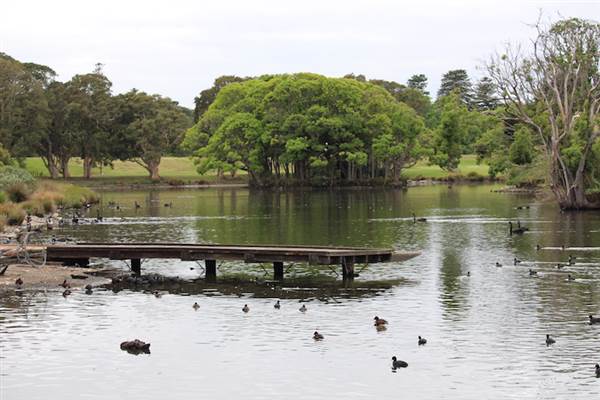 Centennial Park - Duck Pond (24/10/2014)