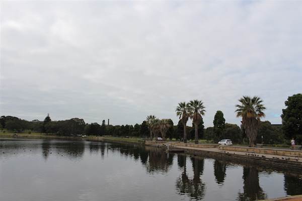 Centennial Park - Duck Pond (24/10/2014)