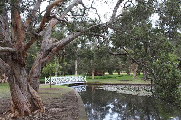 Centennial Park - Lachlan Reserve (24/10/2014)