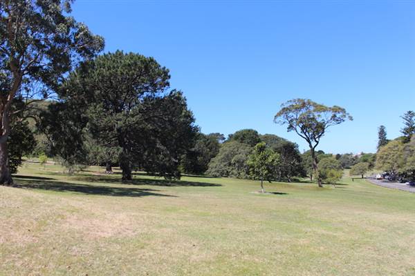 Centennial Park - Parade Grounds (24/10/2014)