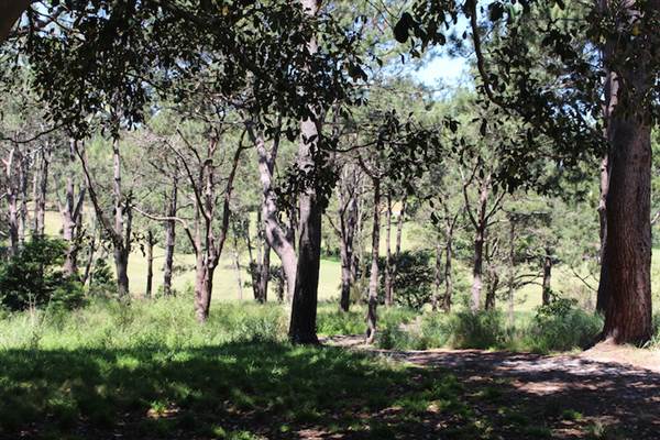 Centennial Park - Sandstone Ridge (24/10/2014)