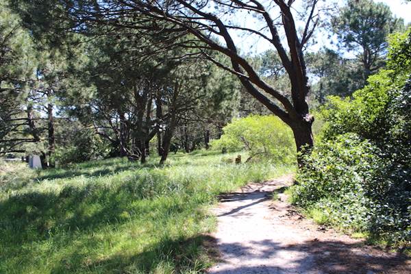 Centennial Park - Sandstone Ridge (24/10/2014)
