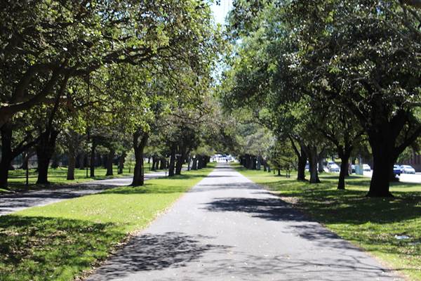 Centennial Park - Federation Way (24/10/2014)