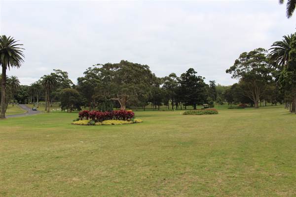 Centennial Park - Frog Hollow (24/10/2014)
