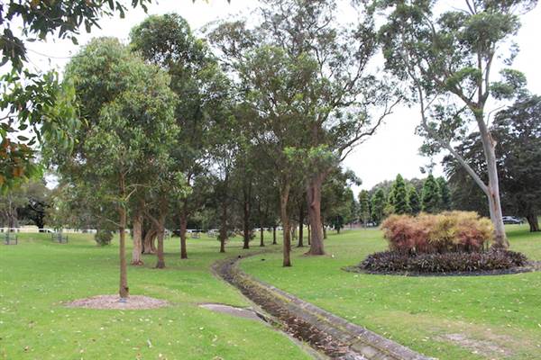 Centennial Park - Frog Hollow (24/10/2014)